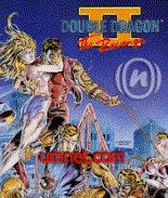 game pic for Double Dragon 2 176X208